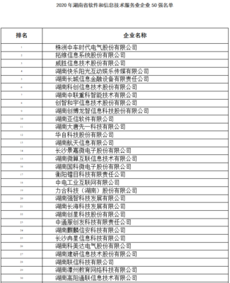 2020年湖南軟件和信息技術(shù)服務(wù)業(yè)企業(yè)50強(qiáng)名單公示 互聯(lián)網(wǎng)信息服務(wù)成亮點