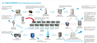 詳解工廠化循環水養殖系統與計算機系統服務的融合